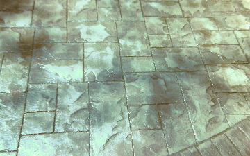 Texture Stamped Concrete Driveway