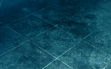 Stained Concrete Floors